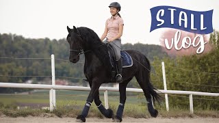 Stallvlog mit Nici  Dressur reiten  VLOG 38  Pilsali [upl. by Ayrb]