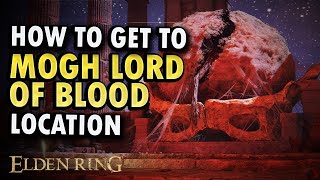 How to Get to Morg Lord of Blood Boss Location Guide [upl. by Abeh]