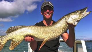 5 Fischen  Angeln  Schleppen auf Hecht im Bodensee [upl. by Egedan]