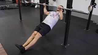 Australian Pull Up Bodyweight Row [upl. by Hcardahs663]