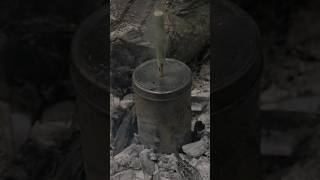 Make Natural Charcoal  Survival Bushcraft survival bushcraft lifehacks [upl. by Ardnaz]