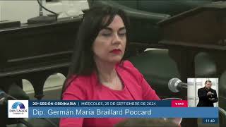 Germán Braillard sobre el pedido de juicio político al gobernador de Corrientes Gustavo Valdés [upl. by Slayton]