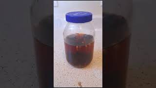 How to make Clove Water for Long Hair hairgrowth [upl. by Adnicul]