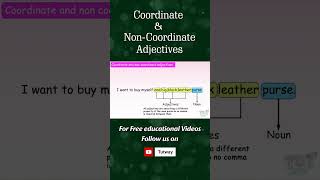 Coordinate and NonCoordinate Adjectives [upl. by Damales]