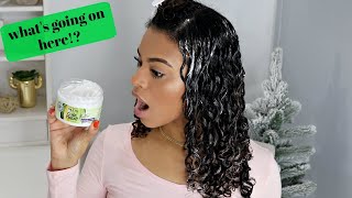 NEW Garnier Fructis Curl Treat Line First Impression  Day 2 Hair [upl. by Stucker]