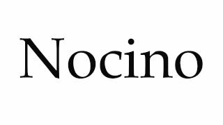 How to Pronounce Nocino [upl. by Nyladgam372]