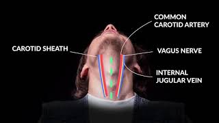 How to Perform An Emergent Cricothyrotomy Emergency Medicine  Your Design Medical [upl. by Savannah]