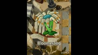 Bloomerang en 25 segundos pvz [upl. by Johny]