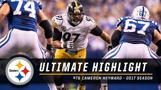 Cameron Heywards Dominant 2017 Season  Ultimate Highlight [upl. by Hteboj520]