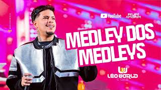 FELIPE AMORIM  MEDLEY DOS MEDLEYS [upl. by Langer896]