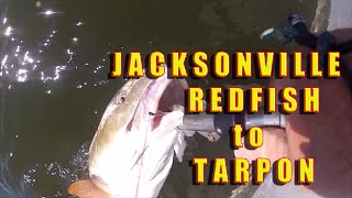 TARPON REDFISH amp MORE Jacksonville Fishing  the Mayport Jetties [upl. by Attej]