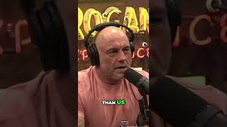 Joe Rogan Criticizing Hollywood [upl. by Leontina916]