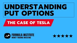 Understanding Put Options The Case of TSLA [upl. by Artenek218]