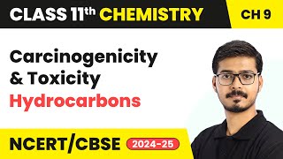 Carcinogenicity and Toxicity  Hydrocarbons  Class 11 Chemistry Chapter 9  CBSE 202425 [upl. by Ynnahc]