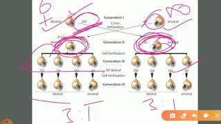 Cytoplasmic Inheritance [upl. by Nade]