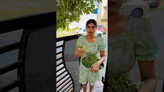 Ye diwar par chunwa kar hi manegi🤣🤣 shortvideo comedy patipatninokjhonk funny love [upl. by Atilahs]