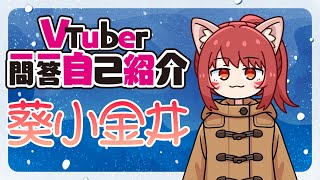 【Vtuber】Vtuber一問一答自己紹介【葵小金井】 [upl. by Yssak]