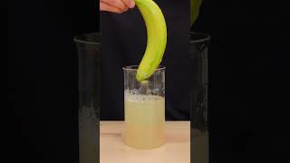 Banana in Bioplastic biodegradable diy [upl. by Nottus873]