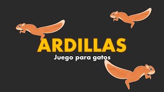 Juego para gatos  ardillas [upl. by Artenal]