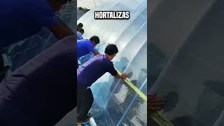 Después de todo ¿por qué los chinos están prendiendo fuego al oleoducto😮 shortsvideo [upl. by Eldoree435]