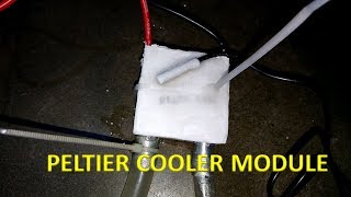 Peltier Cooler Module Testing [upl. by Blasius]