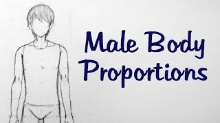 How to Draw Manga Male Body Proportions [upl. by Sibylla]