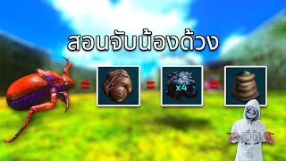 Ark Mobile สอนจับน้องด้วง Dung Beetle [upl. by Raoul765]