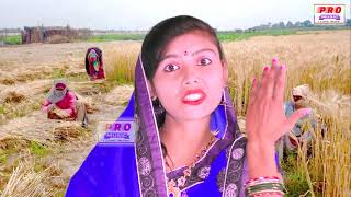 Video Song Mausam Yadav उगै चैत में रौदा हुमैच के पिया। गेहूं कटनी गीत। Maithili Gehum Katni Song [upl. by Airdnaz]