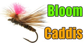 Bloom Caddis Fly Tying  Dave Bloom Fly Pattern [upl. by Enelam205]