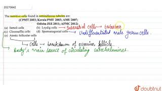 The nutritive cells found in seminiferous tubules are [upl. by Maribeth582]