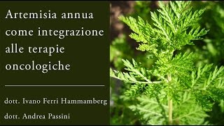 Artemisia Annua in oncologia integrata [upl. by Annaeerb131]