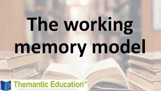 A brief summary of the working memory model  IB Psychology [upl. by Aihsyn838]