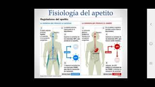 fármacos estimulantes del apetito y anorexinogenos [upl. by Bagley75]