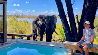 Wilderness Vumbura Plains 5star luxury in Botswanas Okavango Delta lodge tour amp safari [upl. by Nosreffej]