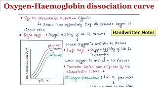 OxygenHaemoglobin dissociation curve  Handwritten notes [upl. by Josephine]