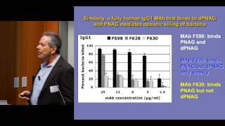 Molecular factors mediating immunity targeting PolyNAcetyl Glucosamine [upl. by Leahcimdivad476]