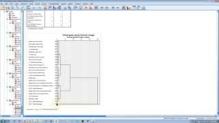 Hierarchical Cluster Analysis SPSS [upl. by Orland]