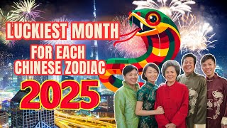 Luckiest Month For Each Chinese Zodiac Sign In 2025  Ziggy Natural [upl. by Ebsen210]