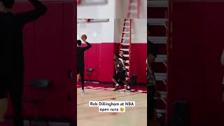 Rob Dillingham GOING OFF at NBA open runs 🔥 [upl. by Zanahs]