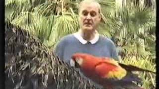 Live Parrots Sketch Cleese explains  Save Rare Parrots [upl. by Nidla506]