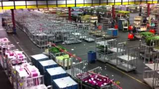 The Largest Flower Market in the World Aalsmeer Holland [upl. by Aredna]