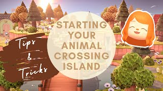 Where to Start on Your Animal Crossing Island — Tips and Tricks  Animal Crossing New Horizons [upl. by Rhynd]