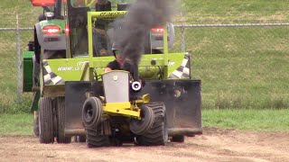 WAMBO 2024 diesel 1250lb garden tractor pull [upl. by See537]