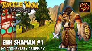 Turtle WoW  HC Shaman Gameplay 1 [upl. by Lorenzo]