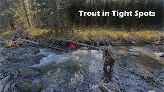 Catching TROUT in Tight Spots and Cool Waters [upl. by Terence853]