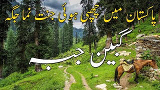 Gabin Jabba  Paradise of Pakistan  Swat Valley  Gabin Jabba Road Conditions  Travel Guide [upl. by Sheng]