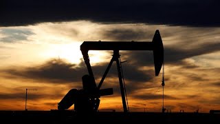 Market Insight US oil drilling could decrease despite Donald Trumps policies  REUTERS [upl. by Ednew]