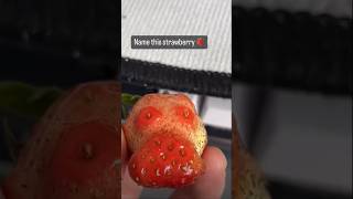 Name this strawberry 🍓 [upl. by Albert]