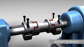 ROTEX® ZSDKMH Double cardanic jawtype coupling  KTR Systems [upl. by Gannie]