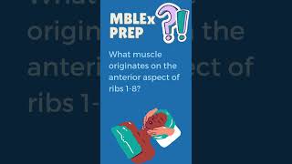 MBLEX Prep Question 269 exampreparation massage [upl. by Alyn]